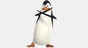 Kowalski skipper pingüino programa de televisión de madagascar ...