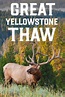 Great Yellowstone Thaw (serie 2017) - Tráiler. resumen, reparto y dónde ...