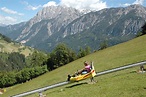 Erlebniswelt Assling | Wildpark & Sommerrodelbahn | Tirol in Österreich