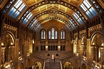 Museo de Historia Natural, Londres: Todo el año