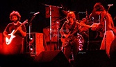 Grateful Dead Live in Concert | Roosevelt Stadium 1976-08-04 | James R ...