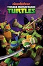 Teenage Mutant Ninja Turtles - Official TV Series | Nick