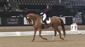 Shelley Browning Demonstrates Blatant Abuse in a Dressage Test ...