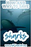 Save the Sharks | Shark Conservation Organizations to Follow + Support