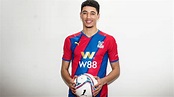 Luke Plange - Crystal Palace FC Supporters' Website - The Holmesdale Online