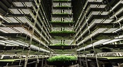 Kheir Al-Kodmany Quoted In Article On Kimbal Musk And Vertical Farming ...