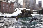 Los 8 mejores acuarios y zoológicos de Nueva York - Tips Para Tu Viaje