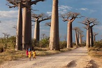 Vuelos a Madagascar por 850 euros | Blog Viajero Astuto | EL PAÍS