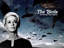 The Birds - Alfred Hitchcock Wallpaper (2422003) - Fanpop