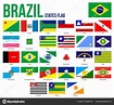 Brazil States Flag Collection Vector Illustration in Official Colors ...