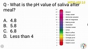 What is the pH value of saliva after meal? - YouTube