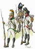 Imperial Austrian Infantry | Napoleonic wars, Military history ...