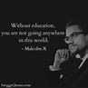 7+ Malcolm X Quotes on Education That Inspires You - Swiggy Quotes