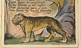 How William Blake keeps our eye on The Tyger | Art and design | The ...