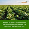 Are GMO Potatoes Safe? A Biogenineer Reveals The Truth