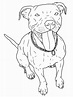 Pics Of Pit Bull Puppy Coloring Page Dog Coloring - Coloring Home
