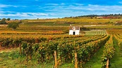 Borgoña, Francia - Lonely Planet