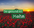 Ist Mohn gesund? | Ab heute gesund!