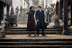 Fantastic Beasts: The Secrets of Dumbledore (2022) - Whats After The ...