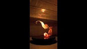 Air Fountain | Daniel Wurtzel - YouTube