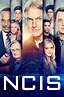 NCIS : Enquêtes spéciales Saison 16 - AlloCiné