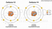 Palaeos, la historia de la Vida en la Tierra: Carbono 14 ¿cómo funciona?