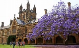 Sydney ranked #1 among innovative universities - The University of Sydney
