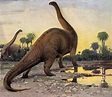 Brontosaurus | Extinct Animals