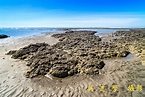 DV02877--桃園觀新藻礁--桃園藻礁--桃園觀音藻礁--桃園新屋藻礁 | 吳志學 | Flickr