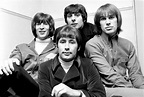 Биография Рок группы The Troggs