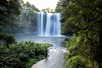 Whangarei Falls, Northland, New Zealand. [OC][5184x3456] (With images ...