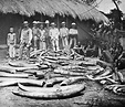 O genocídio no Congo belga e a luta pela reparação - Liga Internacional ...