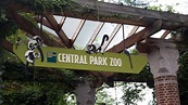 Entradas al Zoo de Central Park en Nueva York - Hellotickets