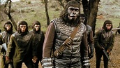 Forgotten City of the Planet of the Apes - vpro cinema - VPRO