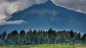 Parque Nacional de Virunga ainda ameaçado | Mediateca – Todo o conteúdo ...
