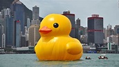 Hong Kong giant inflatable rubber duck - CNN.com