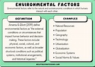 15 Environmental Factors Examples
