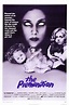 THE PREMONITION (1975) Reviews and overview - MOVIES and MANIA
