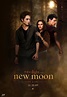 New Moon Poster - New Moon Movie Fan Art (6311922) - Fanpop