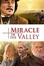 Miracle in the Valley (2019) — The Movie Database (TMDB)
