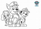 Dibujos de Patrulla Canina (Paw Patrol) para colorear. Imprime gratis