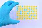 What are the differences between ELISA assay types? - Enzo Life Sciences