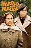 Harold and Maude (1971) - Posters — The Movie Database (TMDB)