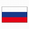 GROSSE Russische Flagge Fahne Russlandfahne Russland Russia : Amazon.de ...