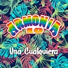 La Duda - song and lyrics by Armonia 10 | Spotify