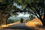 How to Explore Sonoma's Stunning Bohemian Highway