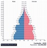 Population of Cambodia 2020 - PopulationPyramid.net