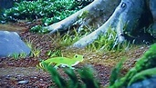 Save the Gecko! | Wonder Pets! Wiki | Fandom