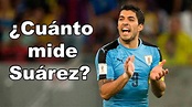 Cuánto mide Luis Suárez - Estatura de Luis Suárez - YouTube