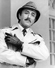 Peter Sellers è l'ispettore Clouseau: 17306 - Movieplayer.it